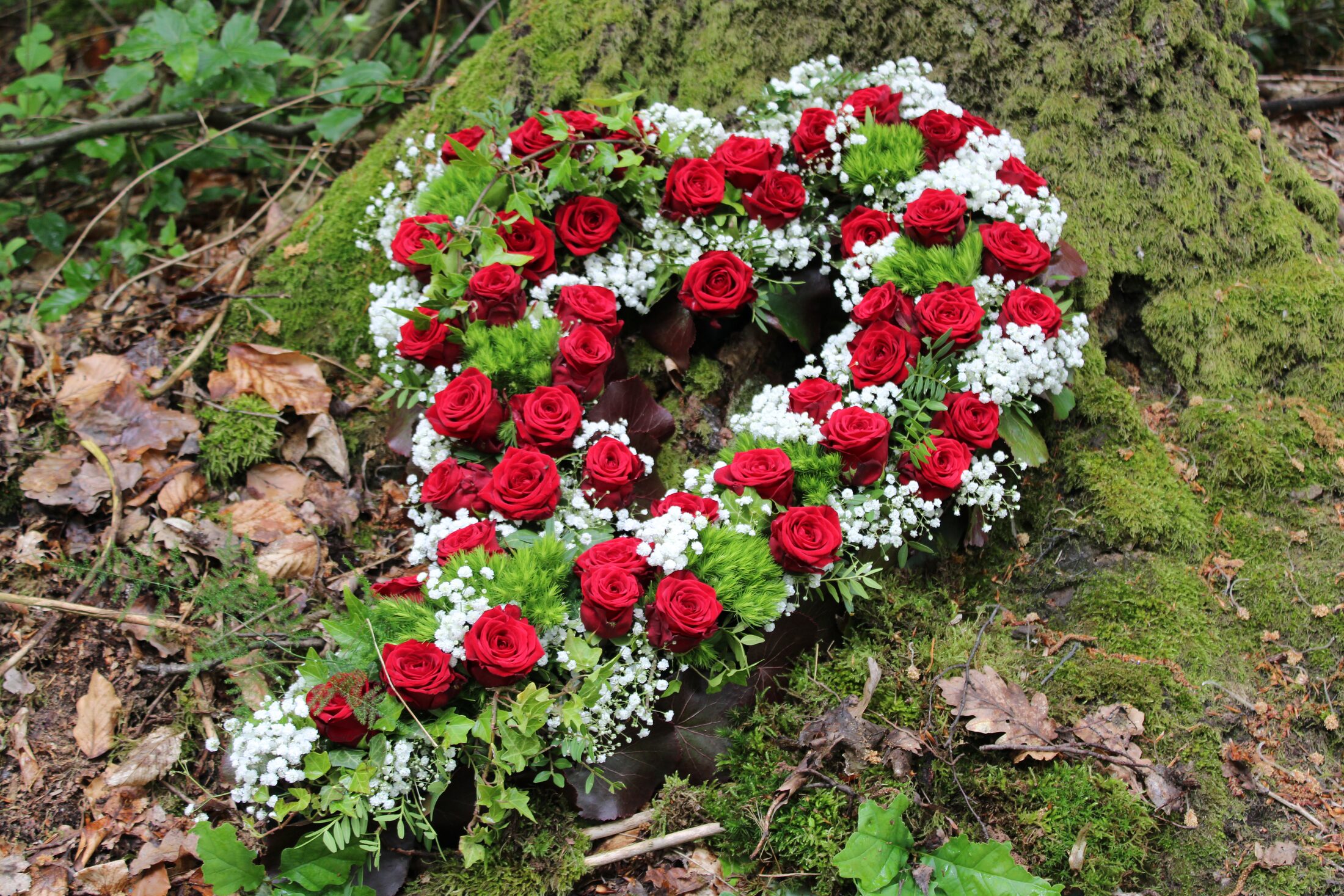 Rotes Rosenherz auf natürlichem Waldboden